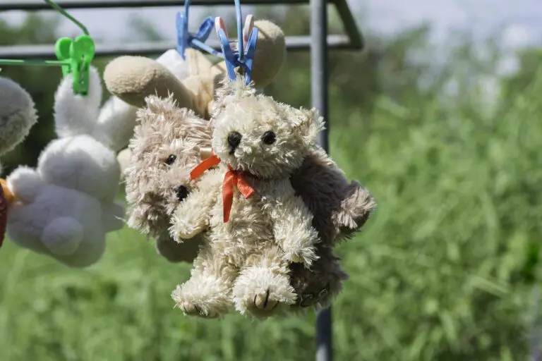 Soft toys pegged onto a washing line by their ears to dry
