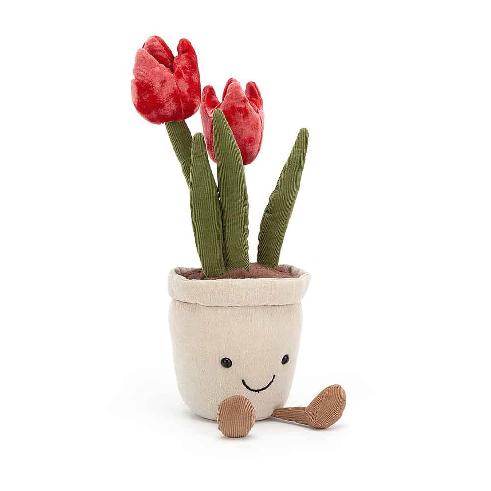 Flowers & Plants